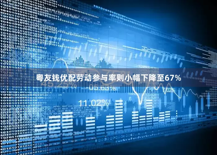 粤友钱优配劳动参与率则小幅下降至67%