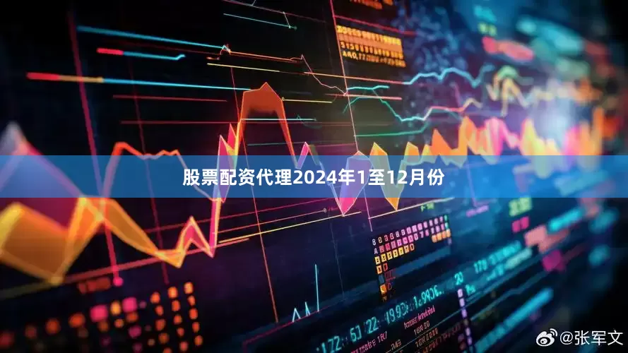 股票配资代理　　2024年1至12月份