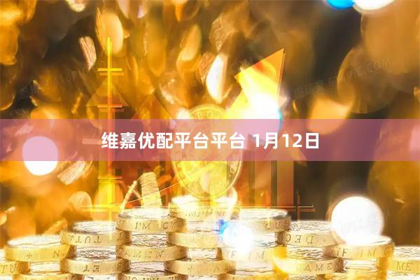 维嘉优配平台平台 1月12日