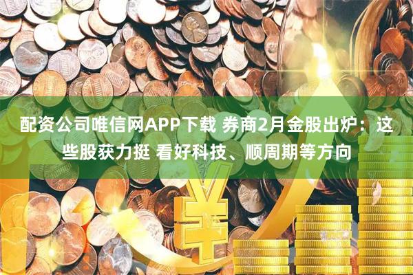 配资公司唯信网APP下载 券商2月金股出炉：这些股获力挺 看好科技、顺周期等方向